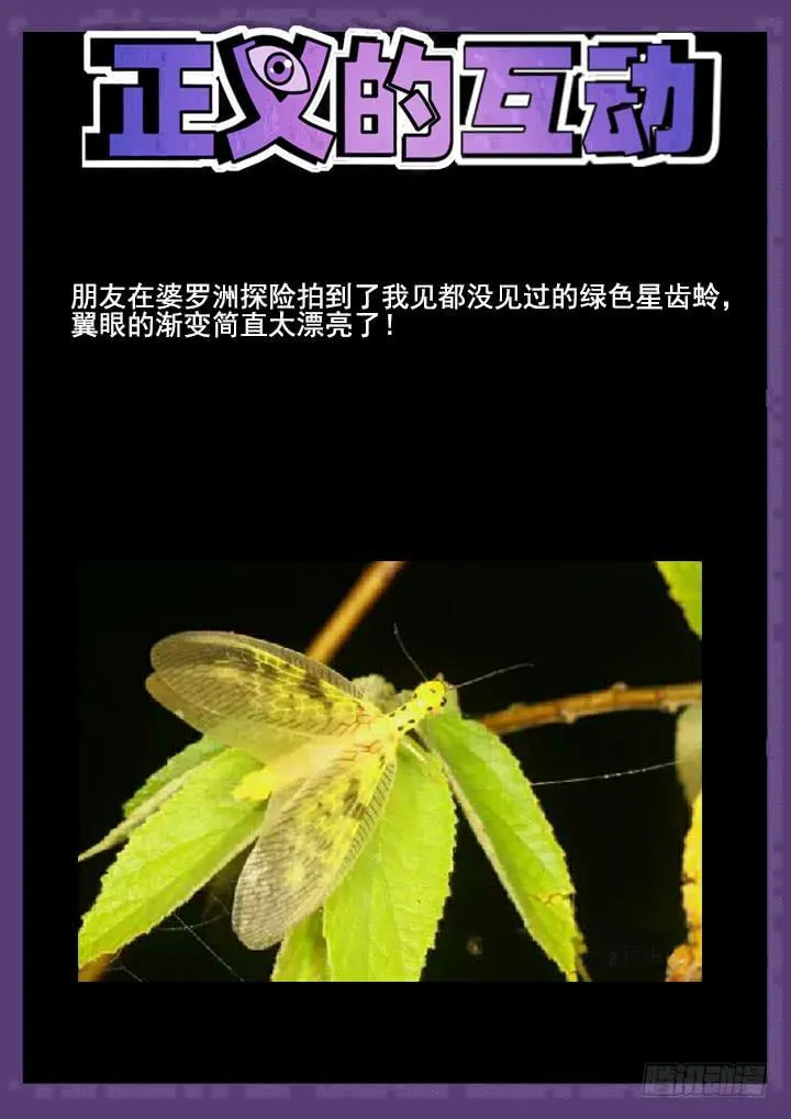 102眼 绝望的复仇 第12页