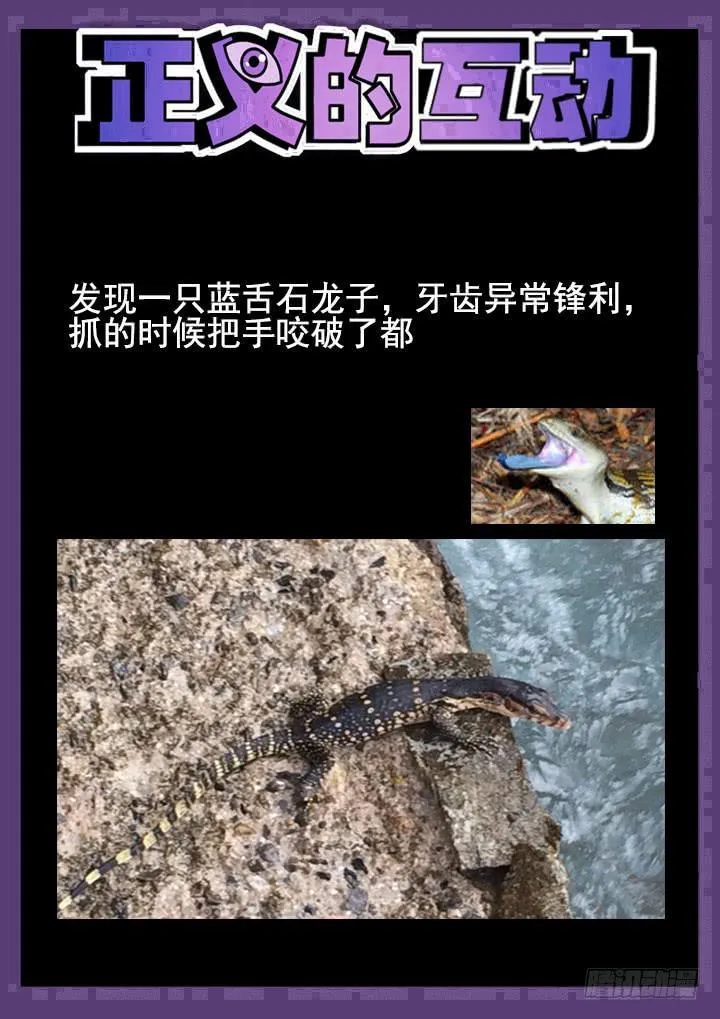 115眼 搅局 第12页