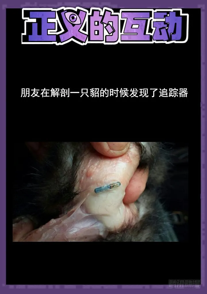 116眼 黄雀在后 第12页