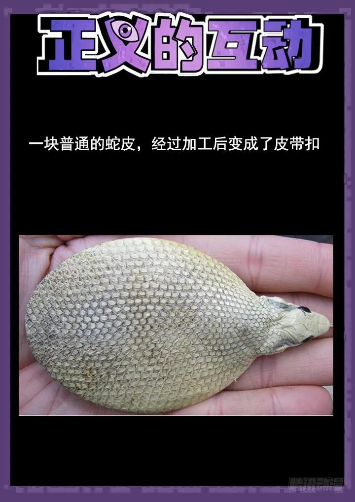 123眼 丛林妖精 第11页