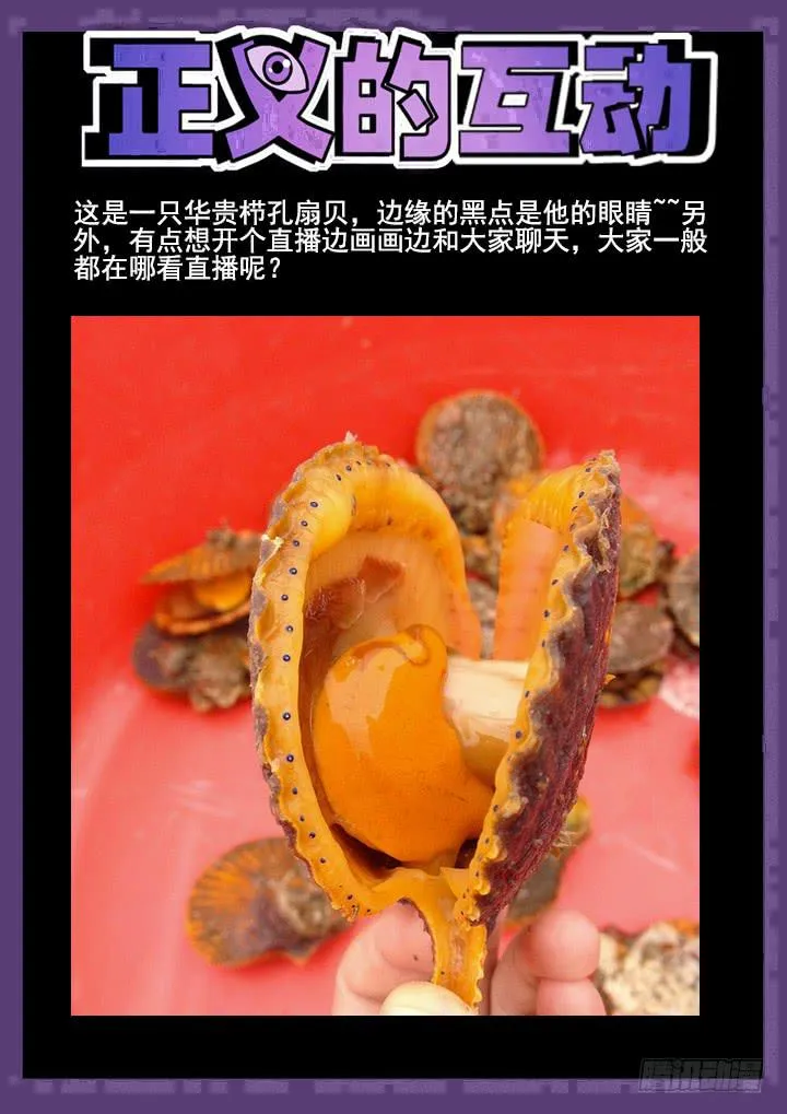129眼 耀斑类的时限 第11页
