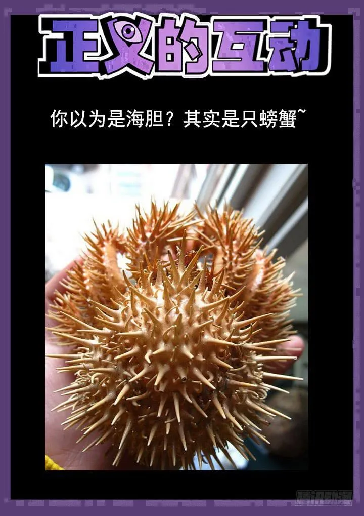 137眼 一个小提示 第10页