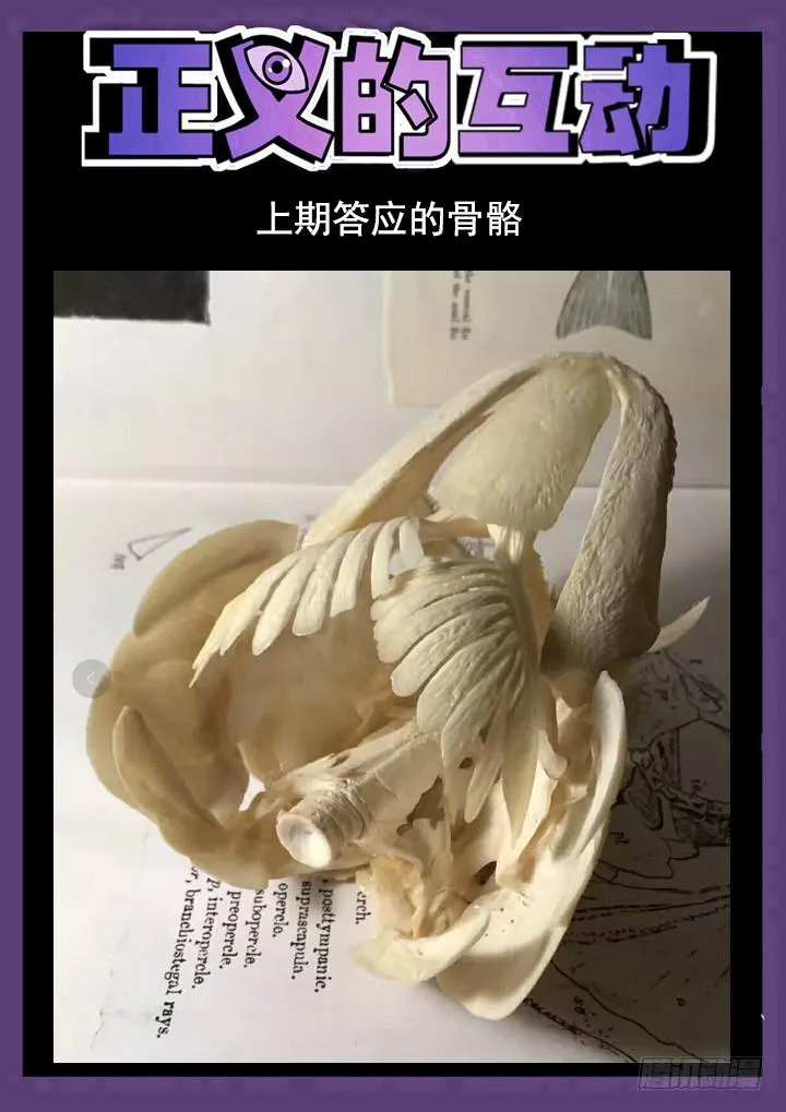 146眼 大变样！ 第15页