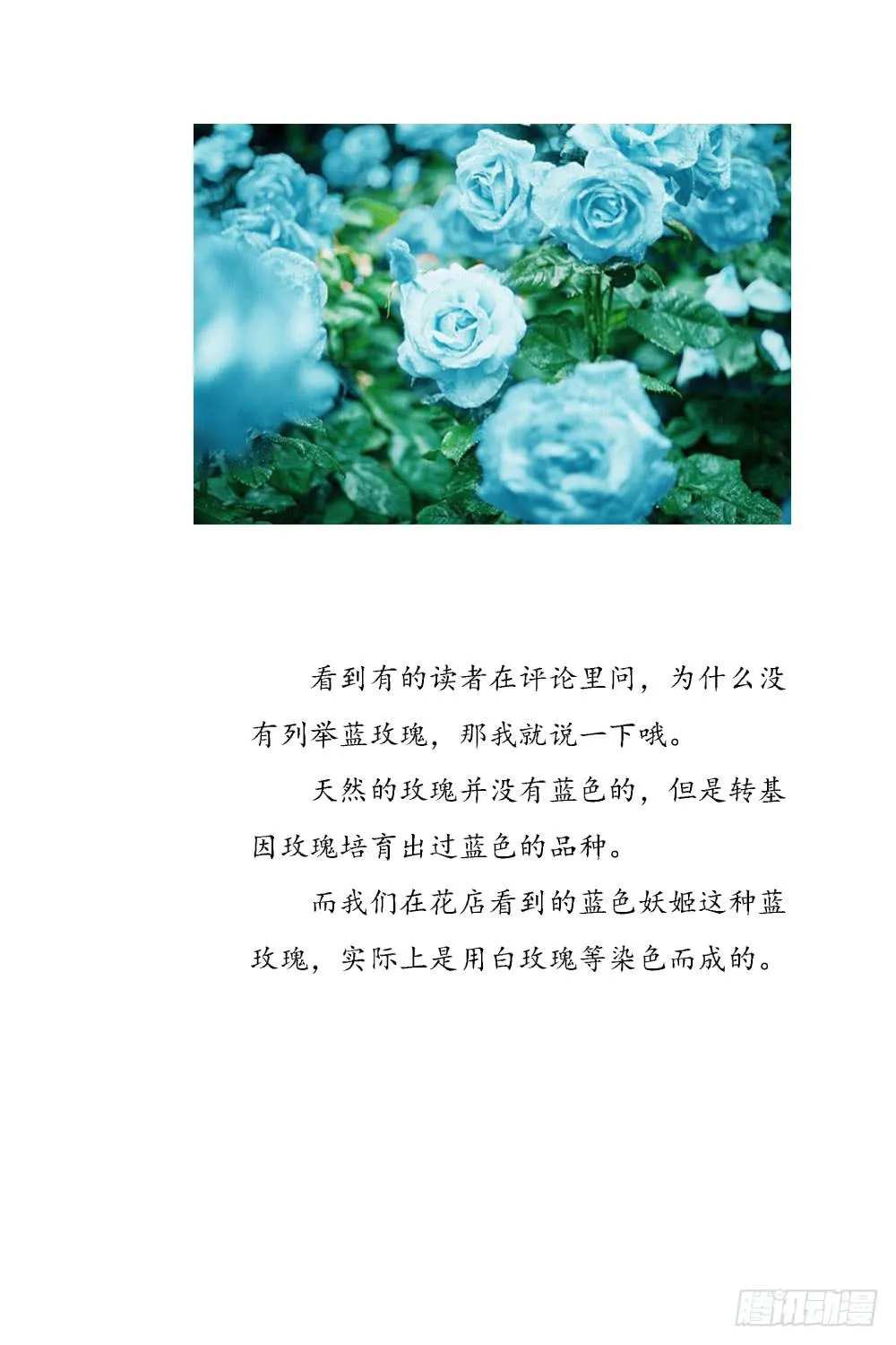 有节操的商人 第36页