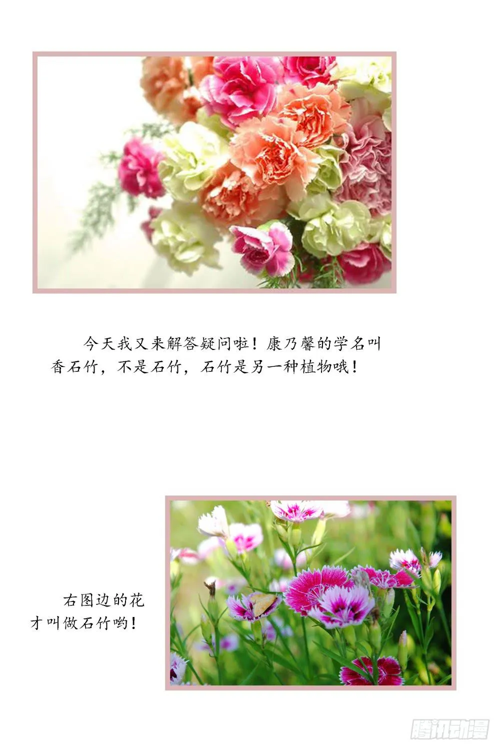 最亲爱的哥哥 第37页