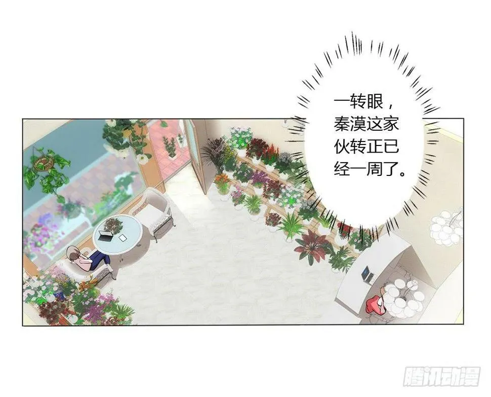 新的应聘者 第17页