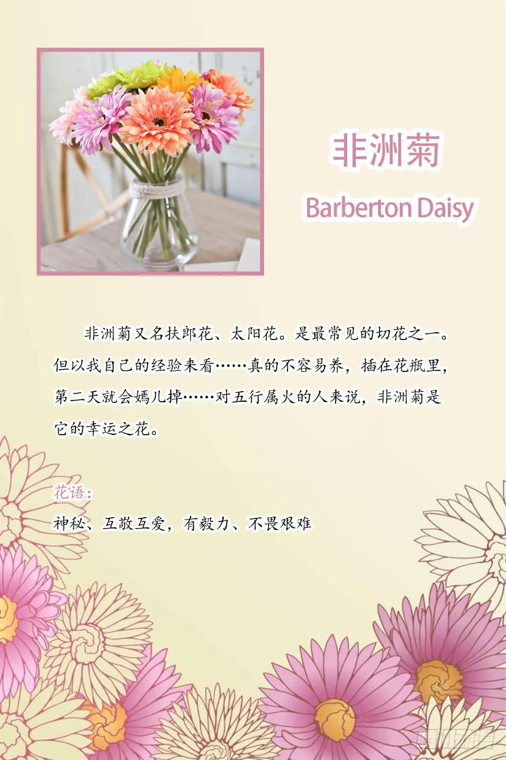新的应聘者 第36页