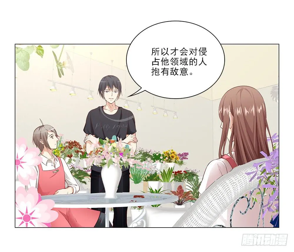 所有物？ 第28页