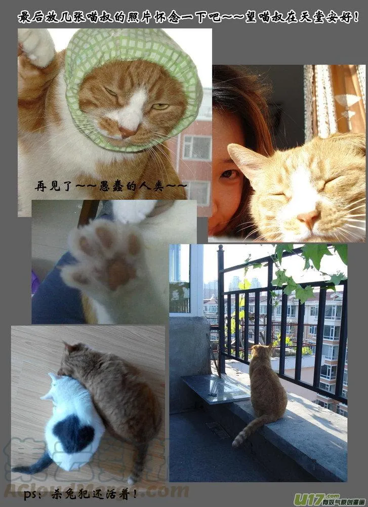 通告 第5页