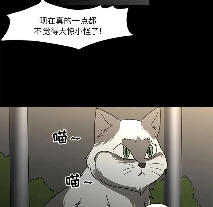 35 第102页
