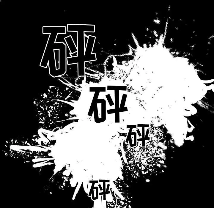 29 第55页