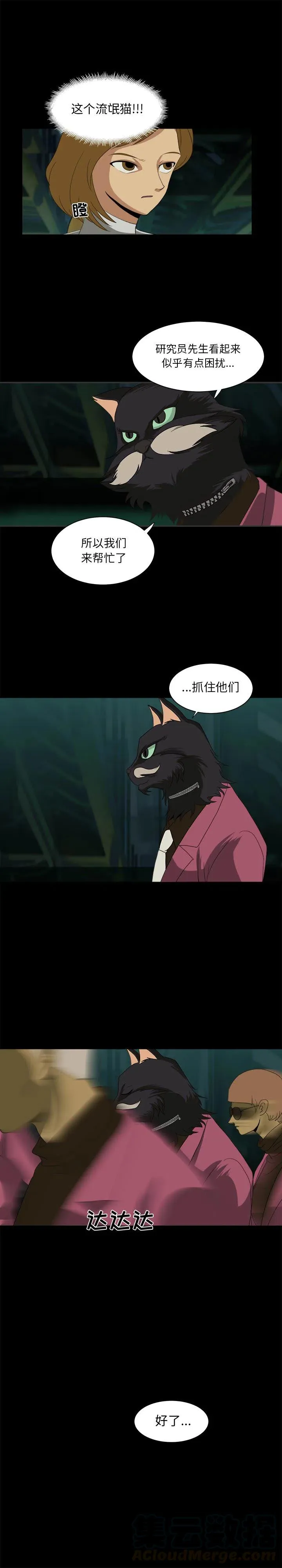 25 第17页