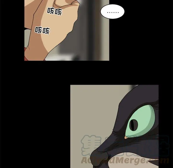 21 第55页