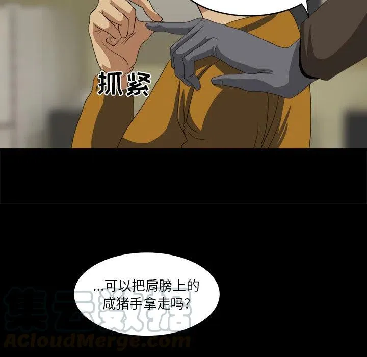 17 第53页