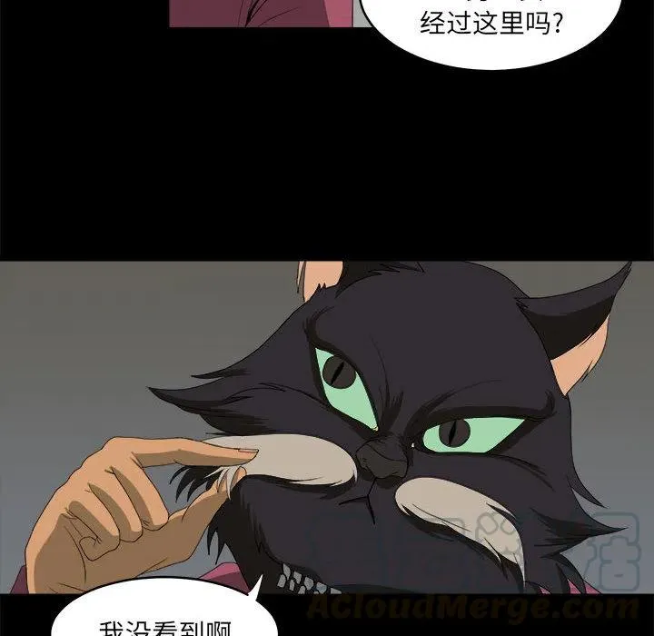 15 第28页