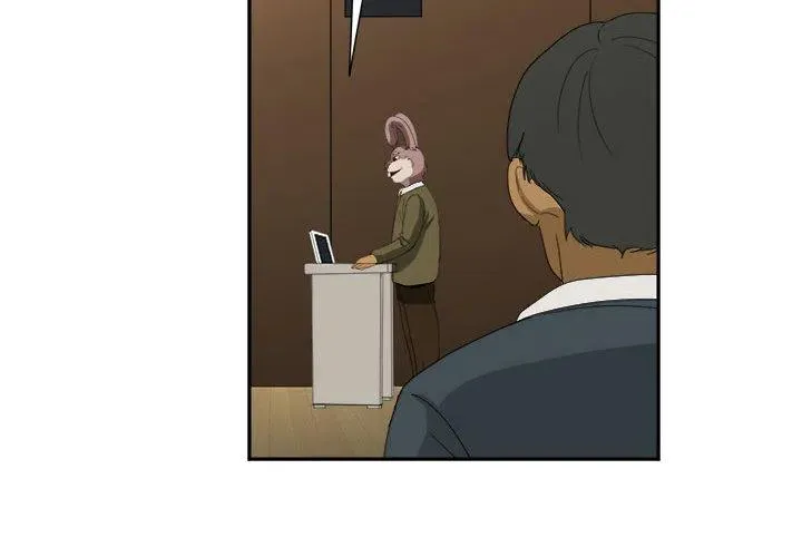 13 第2页