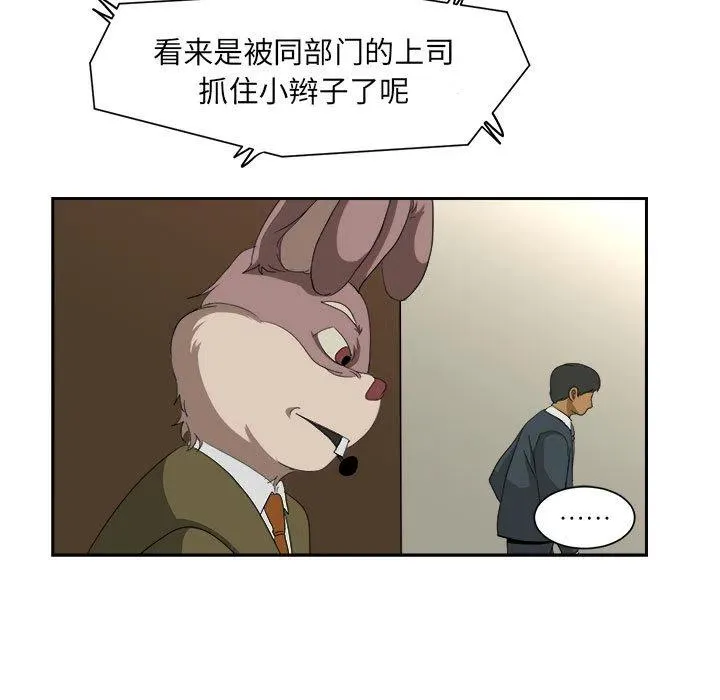 13 第17页
