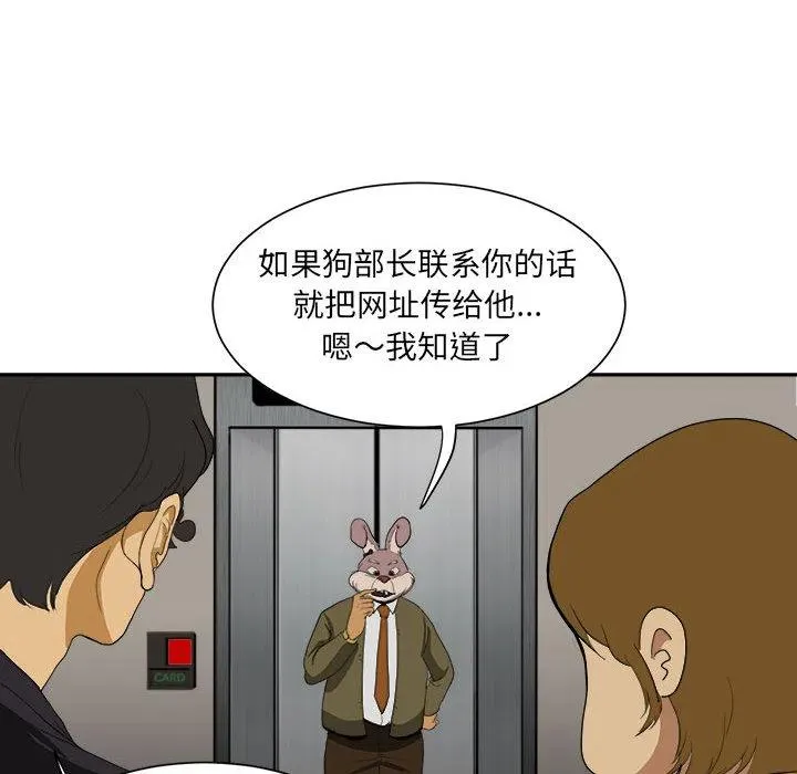 5 第48页