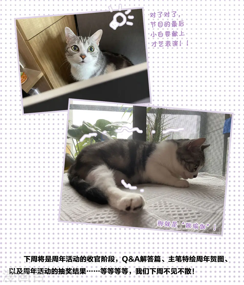 一周年活动3 第9页