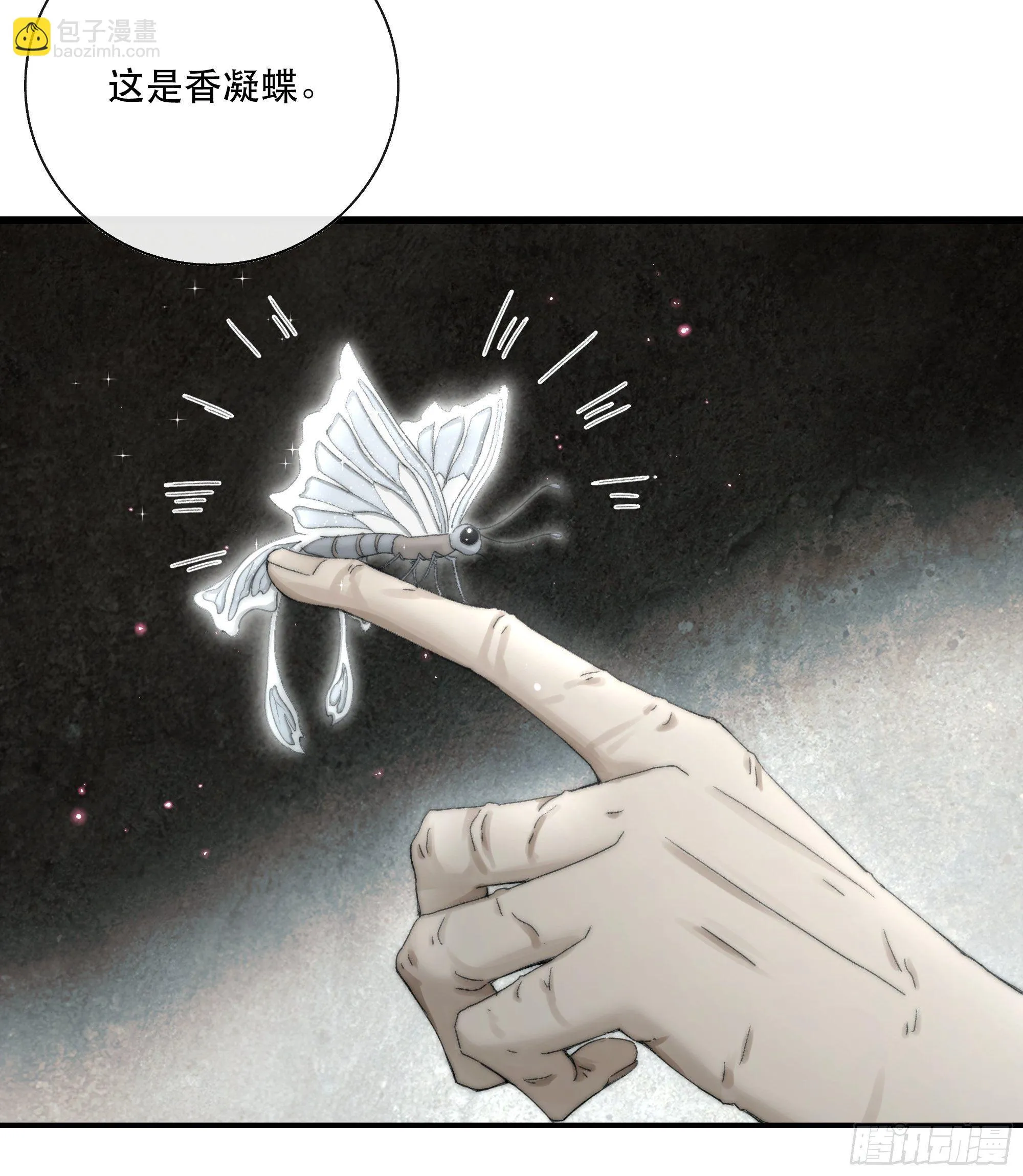 买一只香凝蝶送给内子 第18页