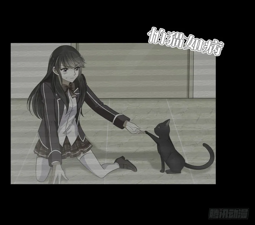 她回来了！ 第42页