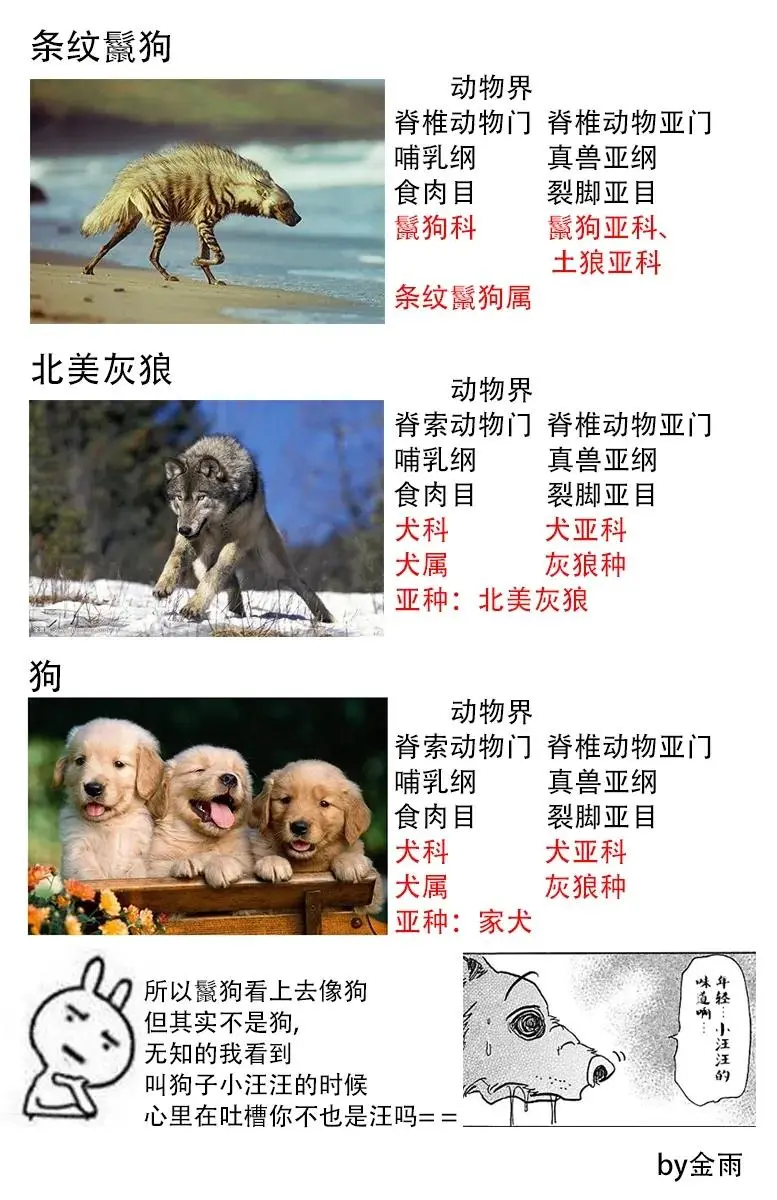 68 致意 冰冷的嘴角 燃烧的手 第21页