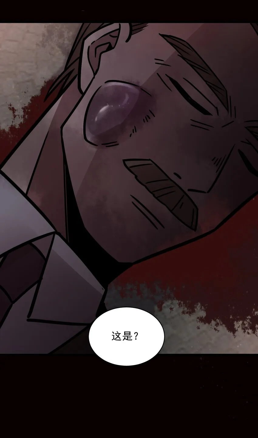 65 第28页