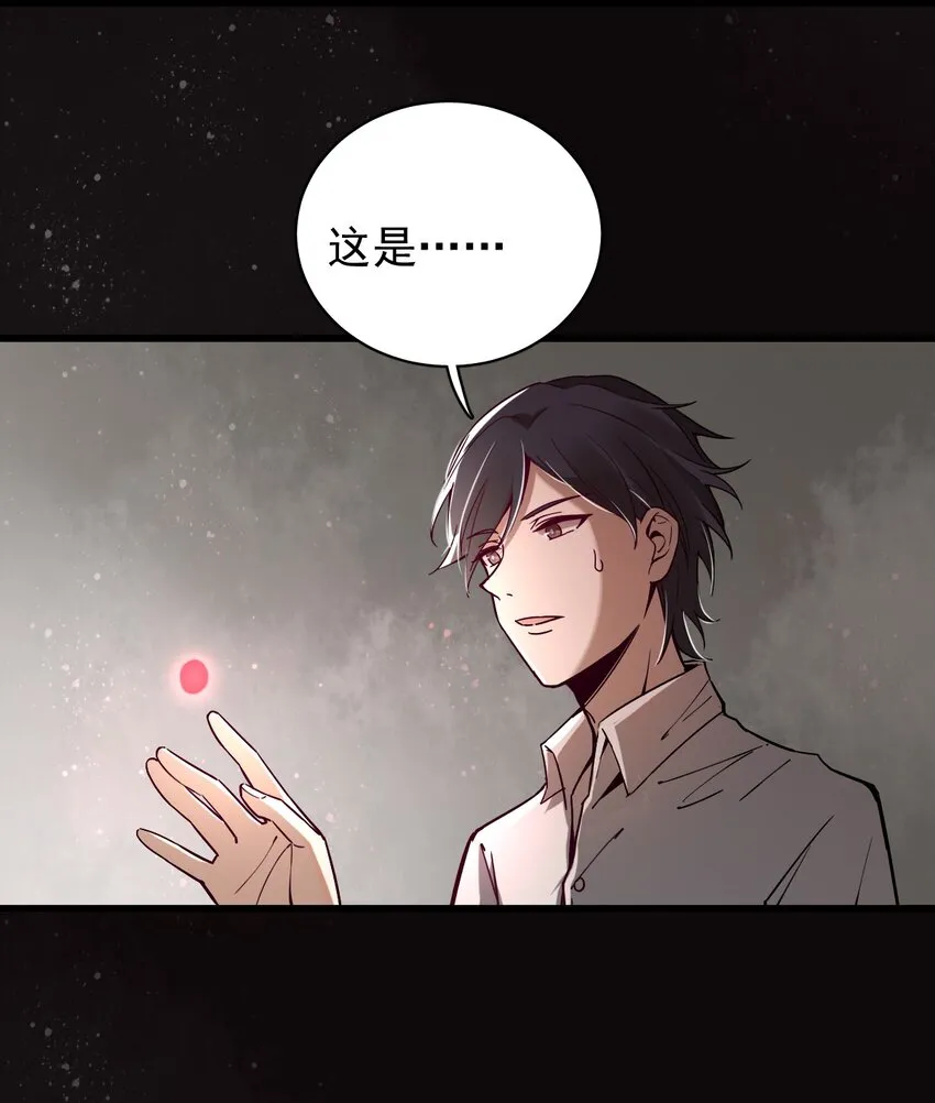5 第4页