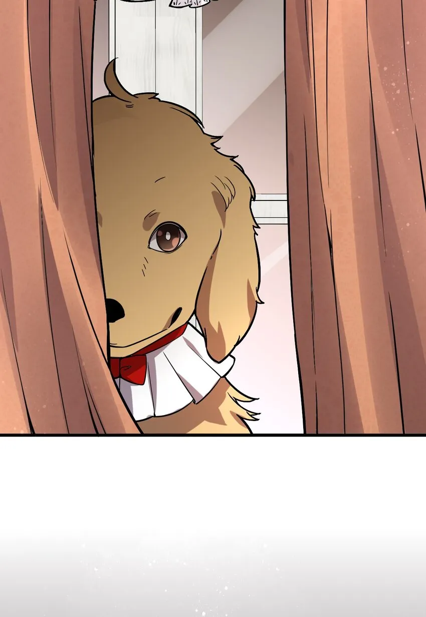 41 第23页
