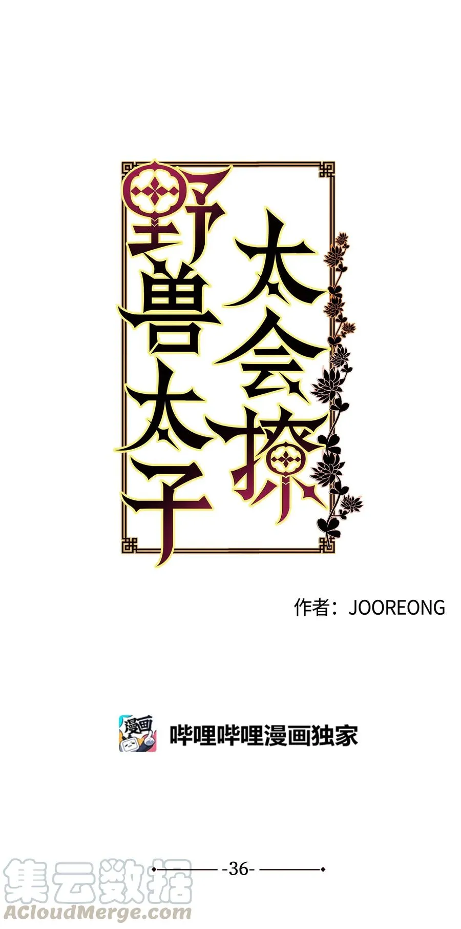 36 占卜算卦 第5页