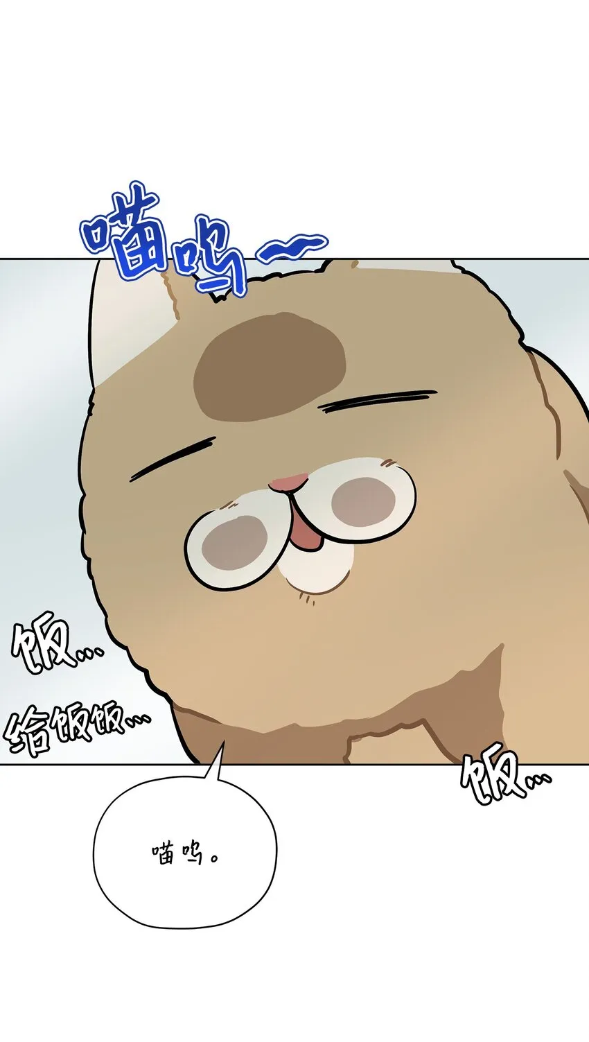 外传14抛出橄榄枝 第8页