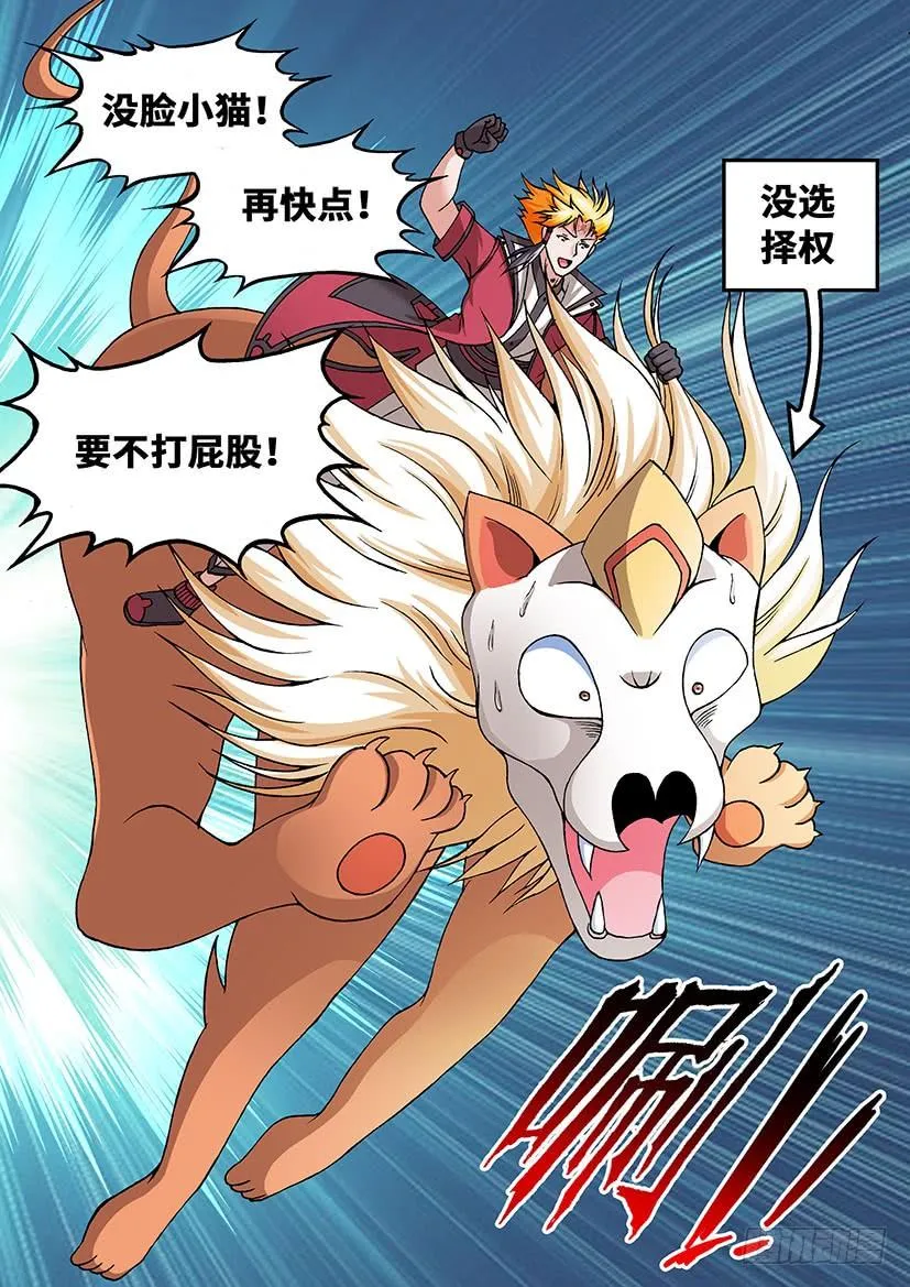 25 第14页