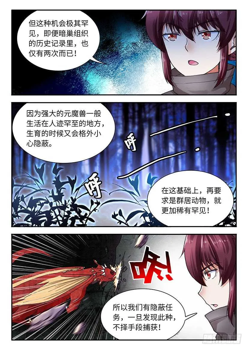 53 第5页