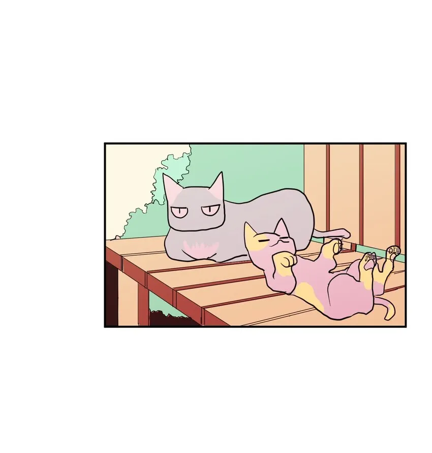 003 勇士 第54页