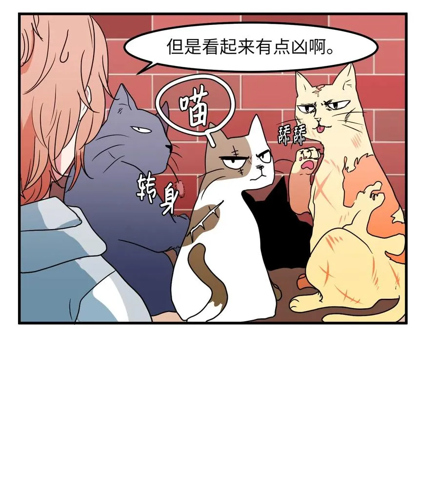026 戴眼镜的狐狸 第20页