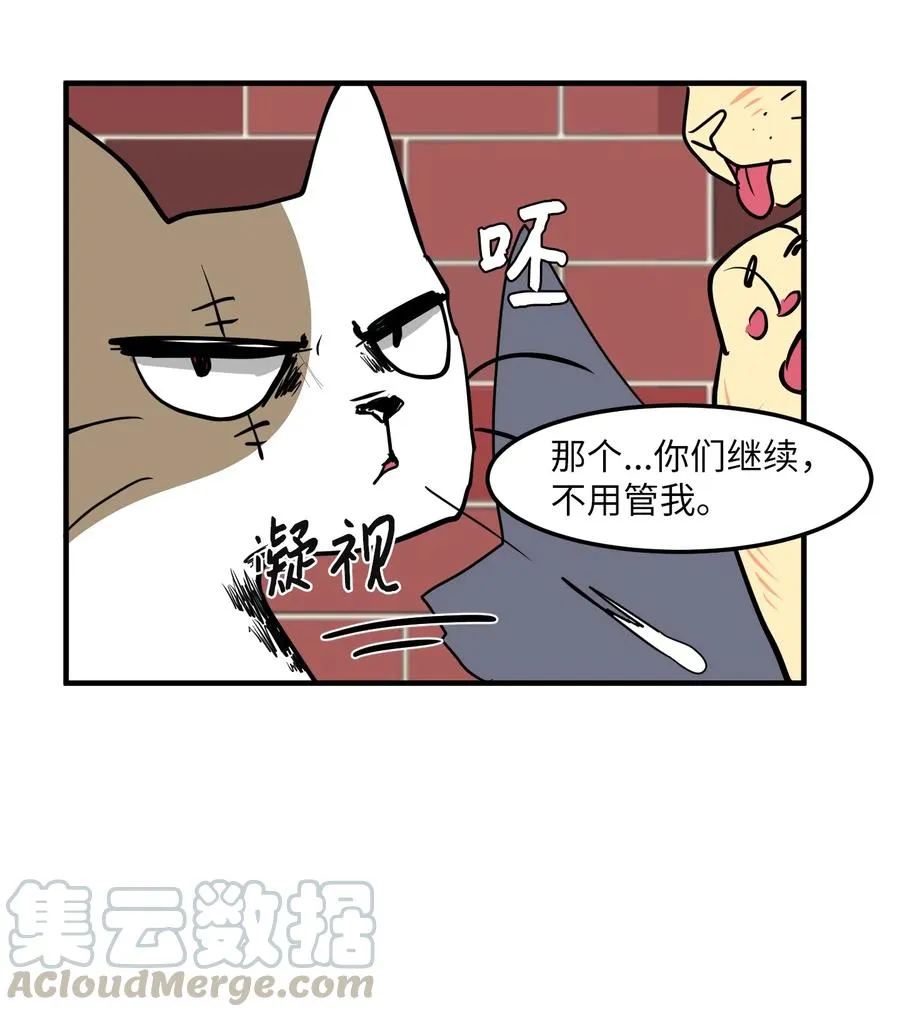 026 戴眼镜的狐狸 第21页