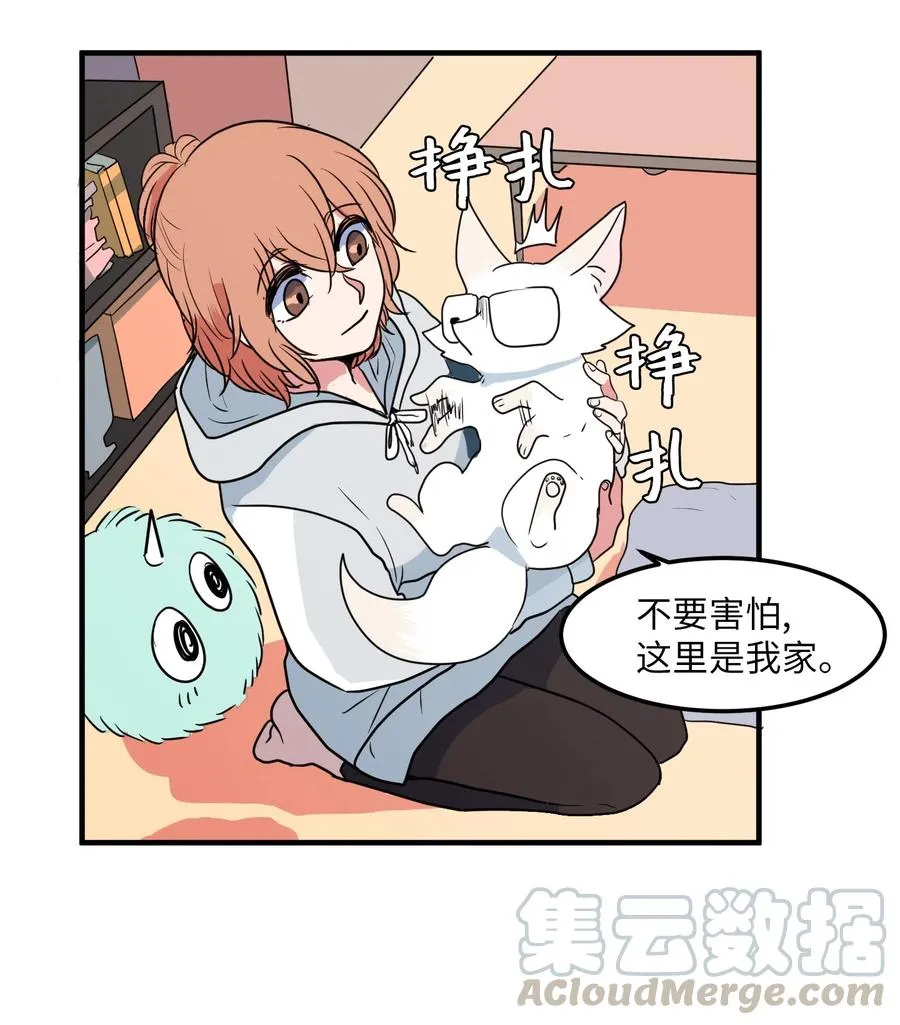 026 戴眼镜的狐狸 第37页