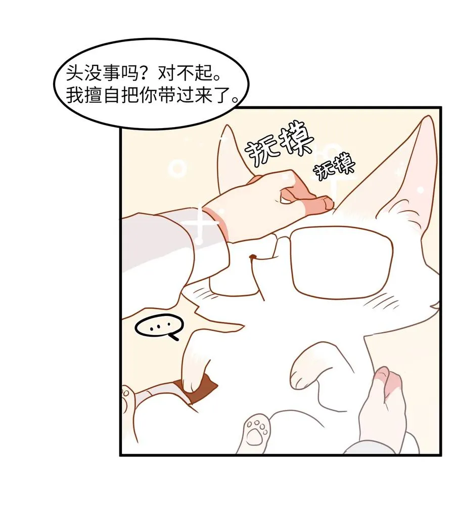 026 戴眼镜的狐狸 第38页