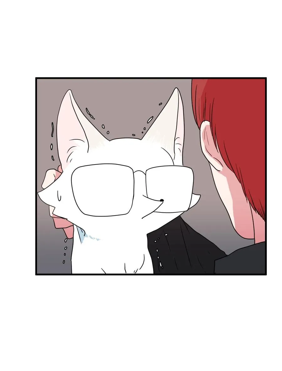 026 戴眼镜的狐狸 第43页