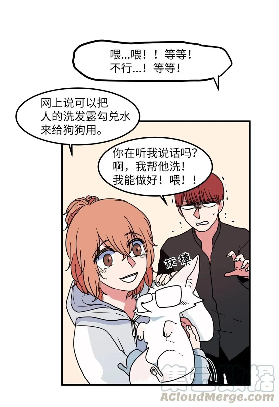 027 与狗狗洗澡 第37页