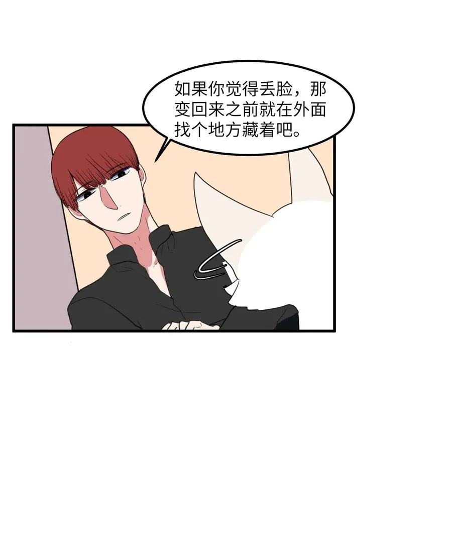 029 利奥回来了 第4页