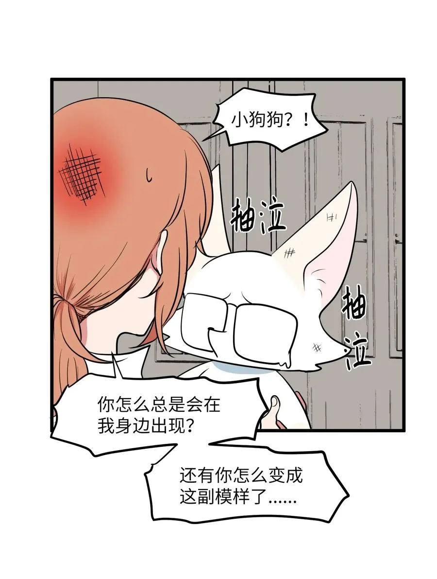 50 遇见总理 第21页