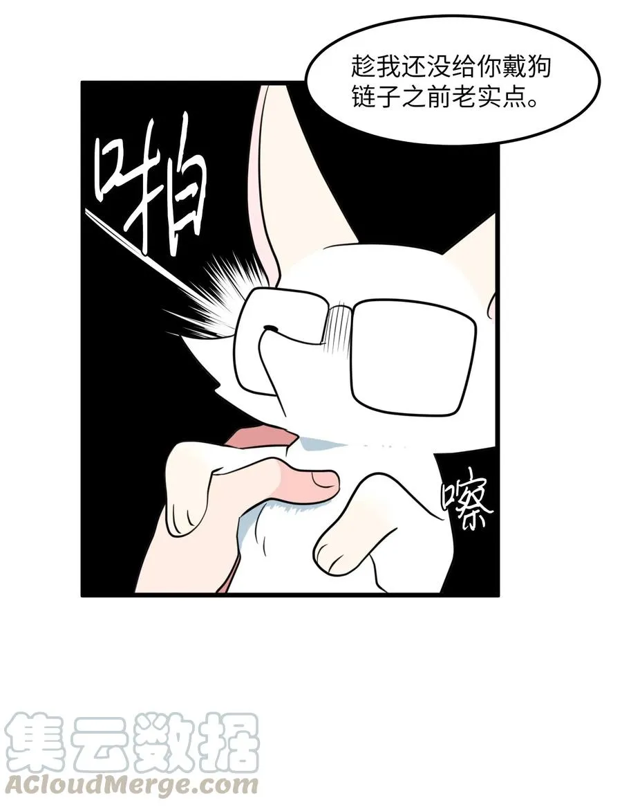 54 烟花很漂亮 第28页