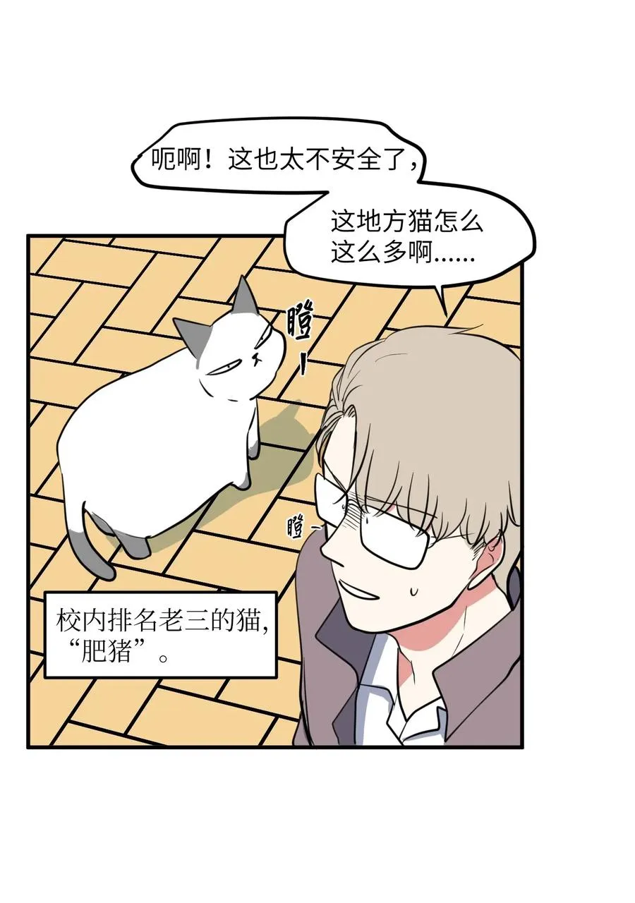 65 不明药物 第42页