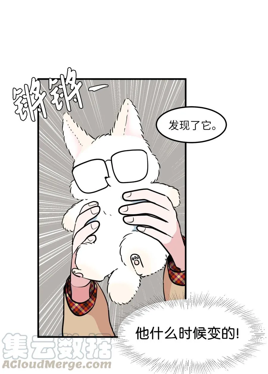 70 寻勇士头发记2 第49页