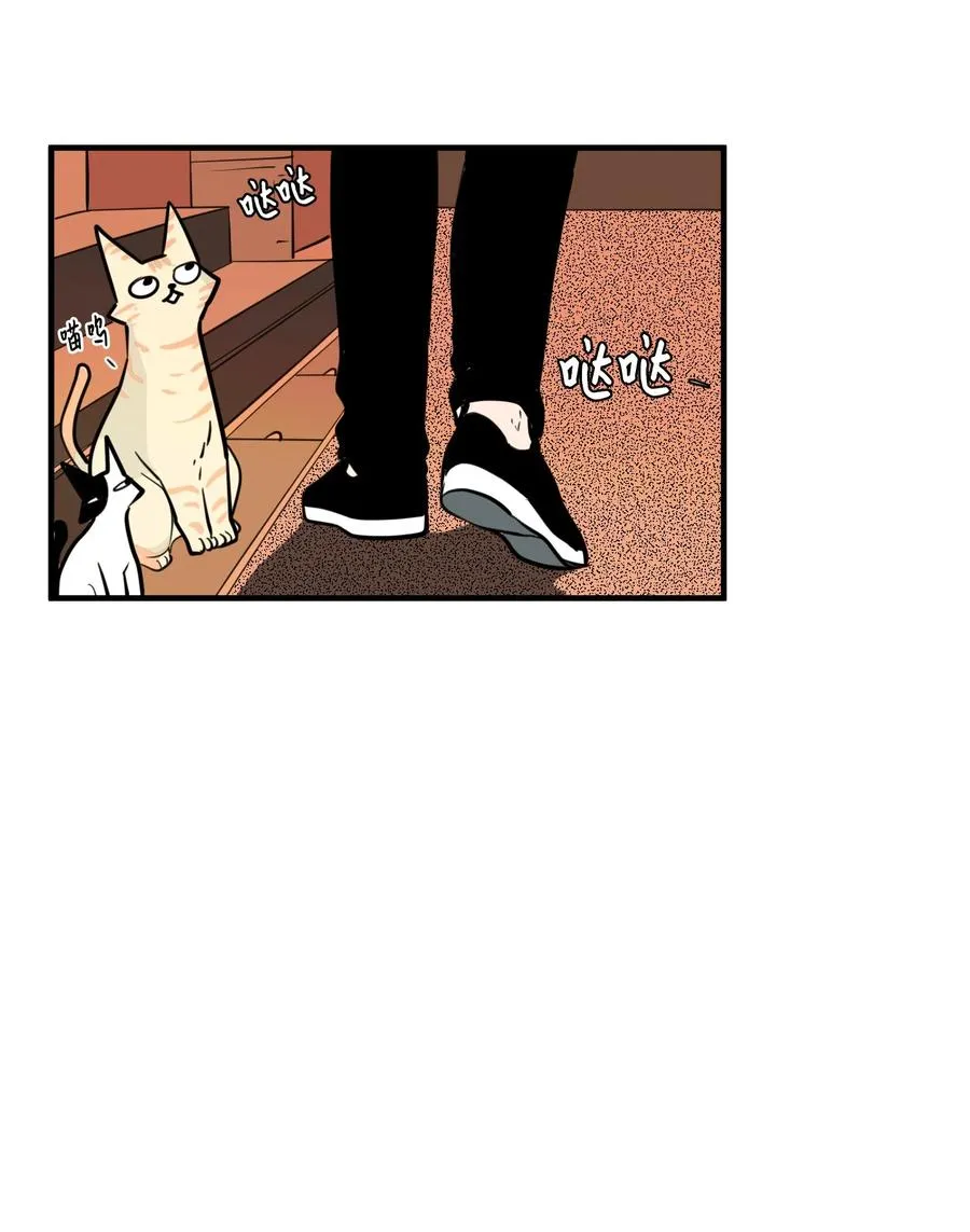 79 累积经验 第54页