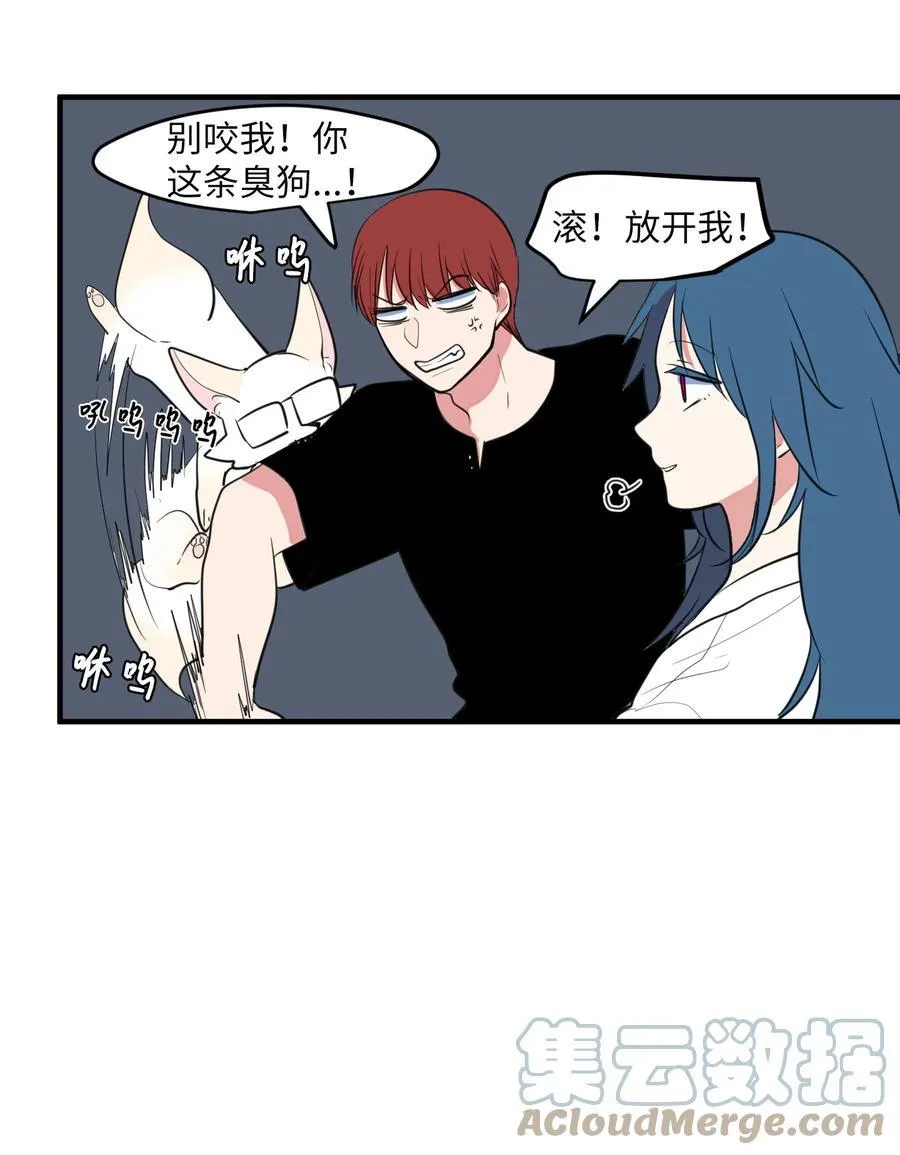 101 弄虚作假 第13页