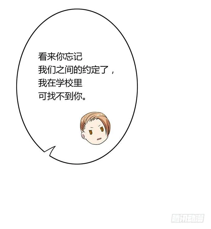寻找小桃桃之旅 第28页