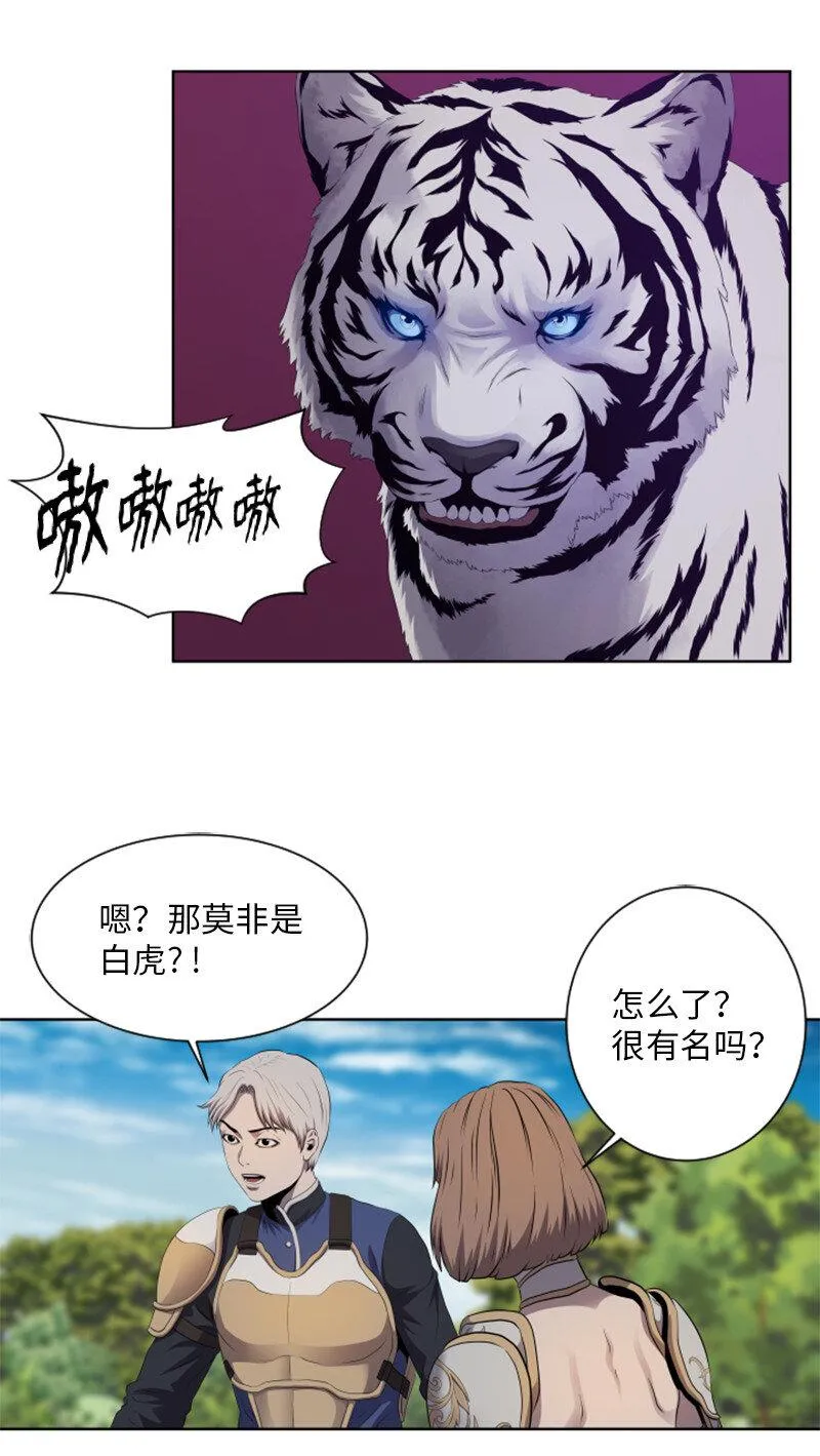10 猎杀白虎 第12页