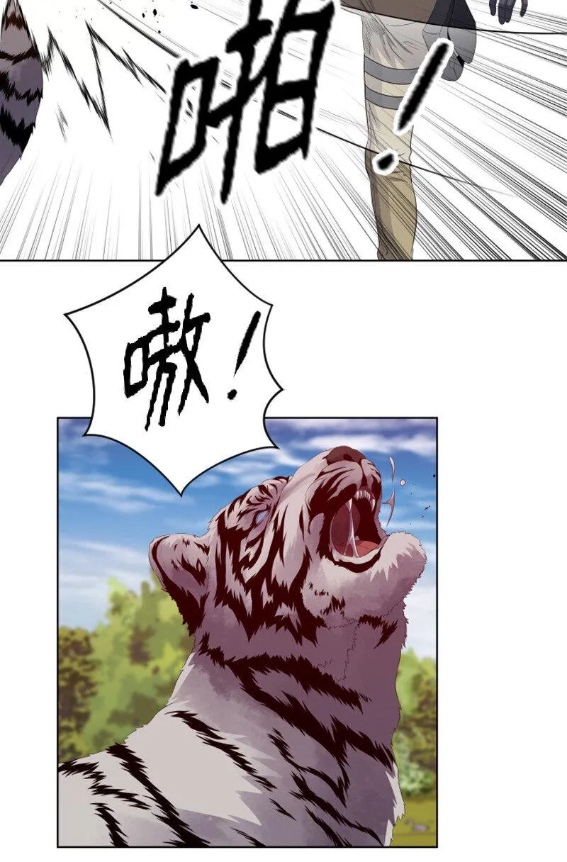 10 猎杀白虎 第31页